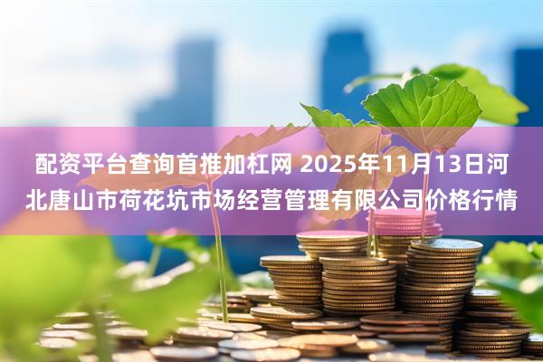 配资平台查询首推加杠网 2025年11月13日河北唐山市荷花坑市场经营管理有限公司价格行情