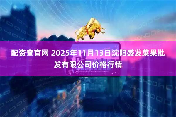 配资查官网 2025年11月13日沈阳盛发菜果批发有限公司价格行情