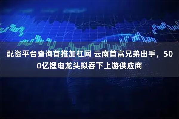 配资平台查询首推加杠网 云南首富兄弟出手，500亿锂电龙头拟吞下上游供应商