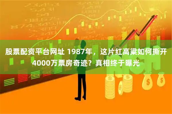 股票配资平台网址 1987年，这片红高粱如何撕开4000万票房奇迹？真相终于曝光